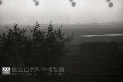 1950至2006年台灣常民生活藏品圖，第1張