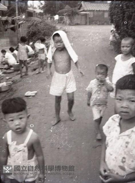 1950至2006年臺灣常民生活藏品圖，第1張