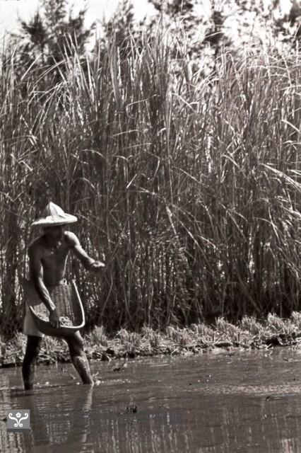 1950至2006年臺灣常民生活藏品圖，第1張