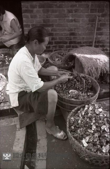 1950至2006年臺灣常民生活藏品圖，第1張