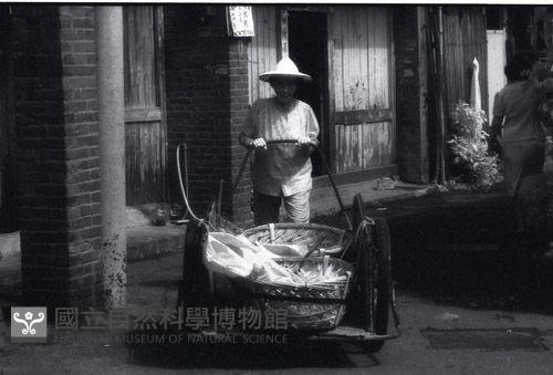 1950至2006年臺灣常民生活藏品圖，第1張