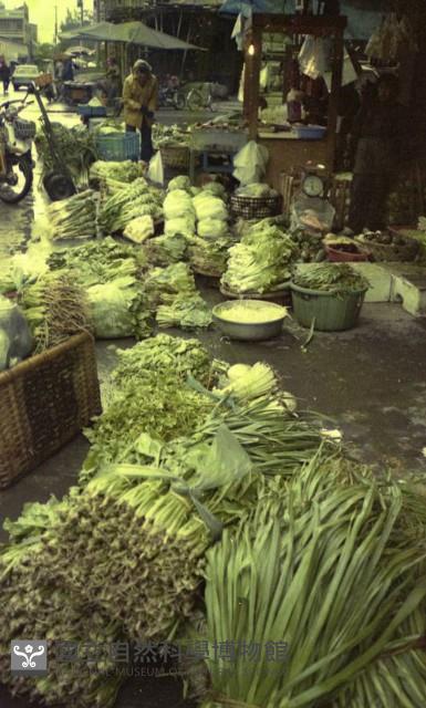 1950至2006年臺灣常民生活藏品圖，第1張