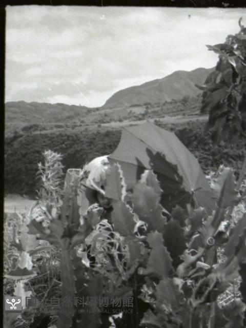 1950至2006年台灣常民生活藏品圖，第1張