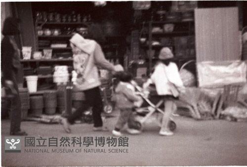 1950至2006年臺灣常民生活藏品圖，第1張