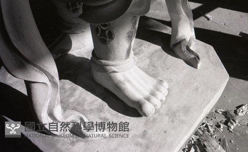 1950至2006年臺灣常民生活藏品圖，第1張