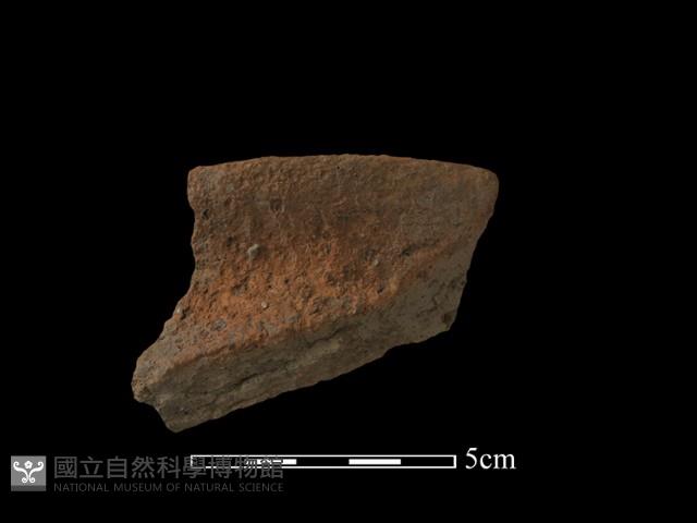 陶罐藏品圖，第1張