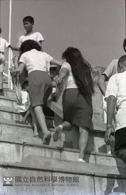 1950至2006年臺灣常民生活藏品圖，第1張