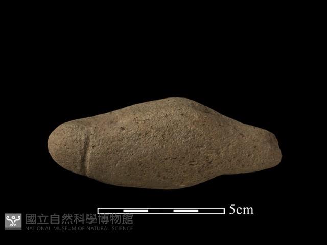 Accession Number:NP-2009-0013 Collection Image, Figure 1, Total 2 Figures