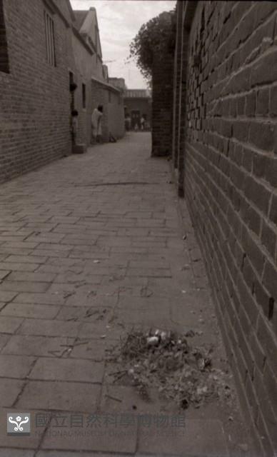 1950至2006年臺灣常民生活藏品圖，第1張
