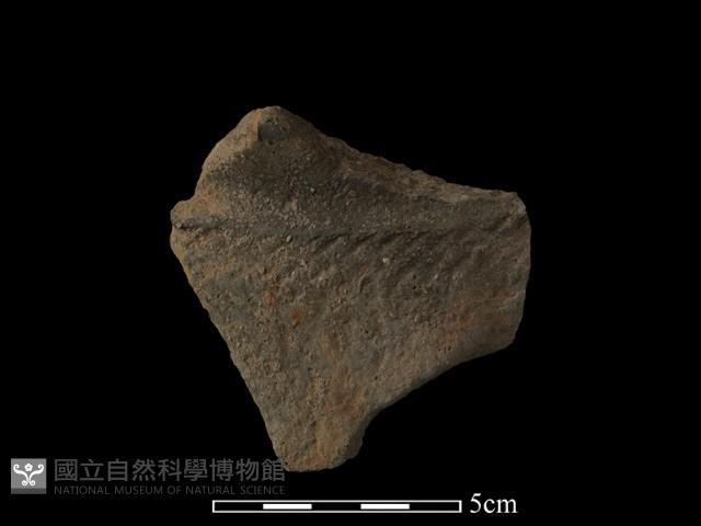 陶片藏品圖，第1張