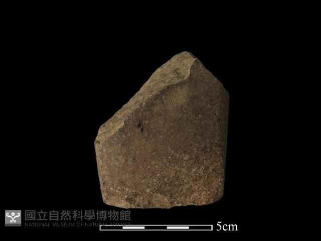 錛鑿形器藏品圖，第1張