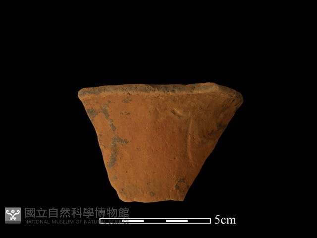 陶片藏品圖，第1張