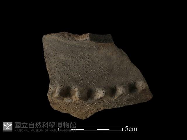 陶罐藏品圖，第2張