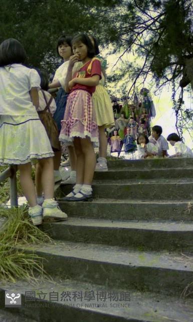 1950至2006年臺灣常民生活藏品圖，第1張