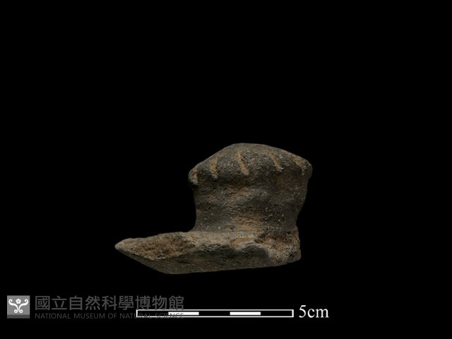 陶蓋鈕藏品圖，第2張