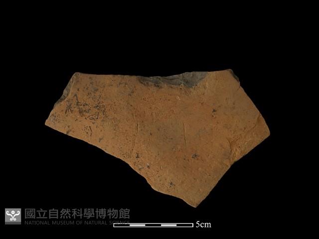 陶片藏品圖，第2張