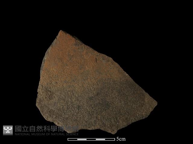 陶片藏品圖，第2張