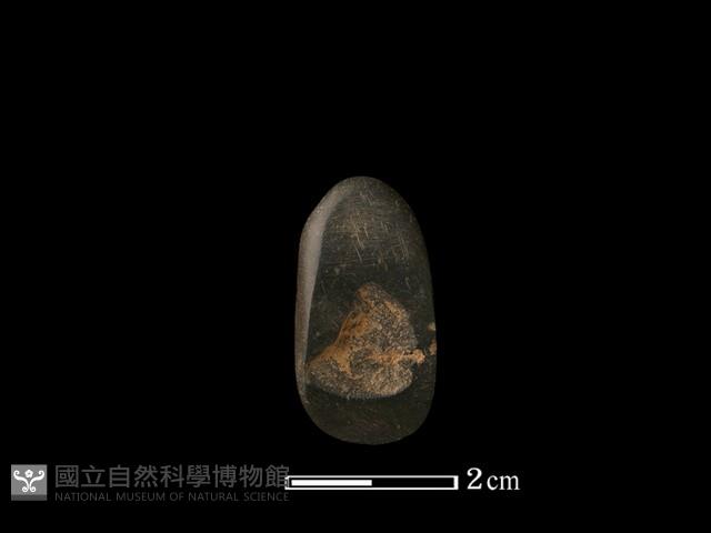 錛鑿形器藏品圖，第1張