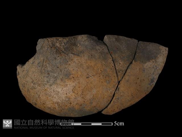 陶片藏品圖，第2張