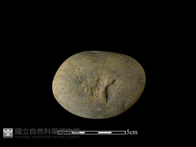 石鎚藏品圖，第1張