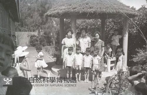 1950至2006年臺灣常民生活藏品圖，第1張