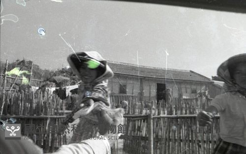 1950至2006年臺灣常民生活藏品圖，第1張