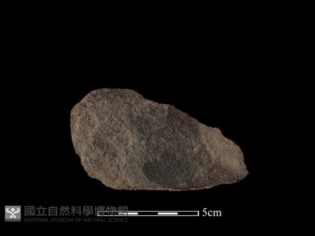 石片器藏品圖，第2張