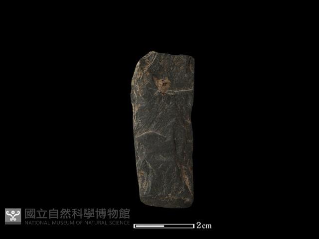 錛鑿形器藏品圖，第2張