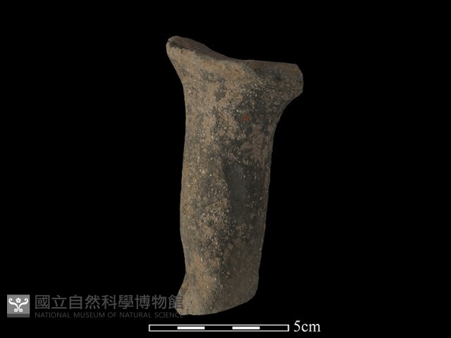 獸足藏品圖，第2張