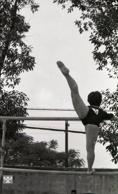 1950至2006年臺灣常民生活藏品圖，第1張