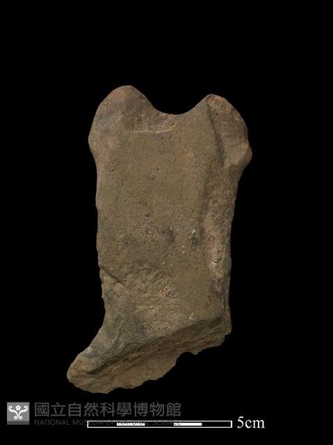 磨製斧鋤形器藏品圖，第1張