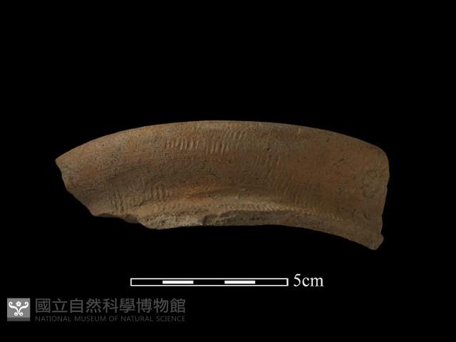 陶罐藏品圖，第1張