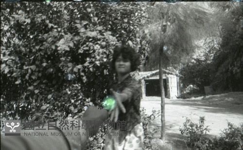 1950至2006年臺灣常民生活藏品圖，第1張
