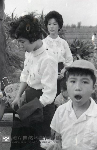1950至2006年臺灣常民生活藏品圖，第1張