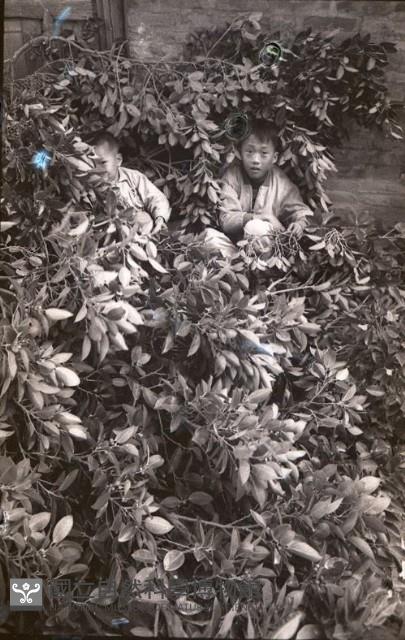 1950至2006年臺灣常民生活藏品圖，第1張