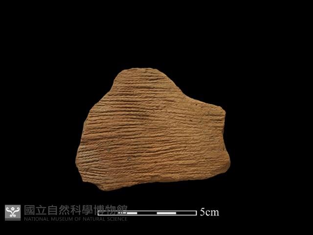 Accession Number:NP-2008-1223 Collection Image