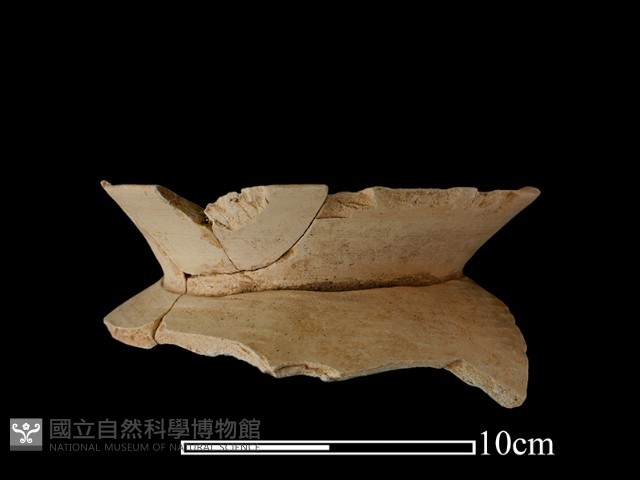 陶罐藏品圖，第2張