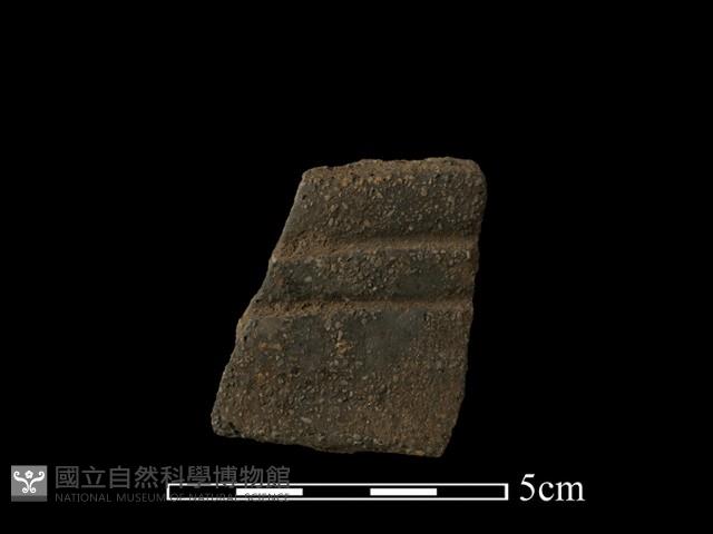 陶片藏品圖，第1張