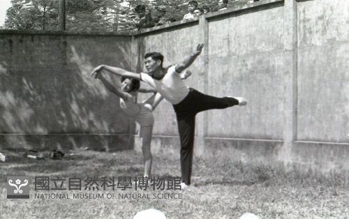 1950至2006年臺灣常民生活藏品圖，第1張