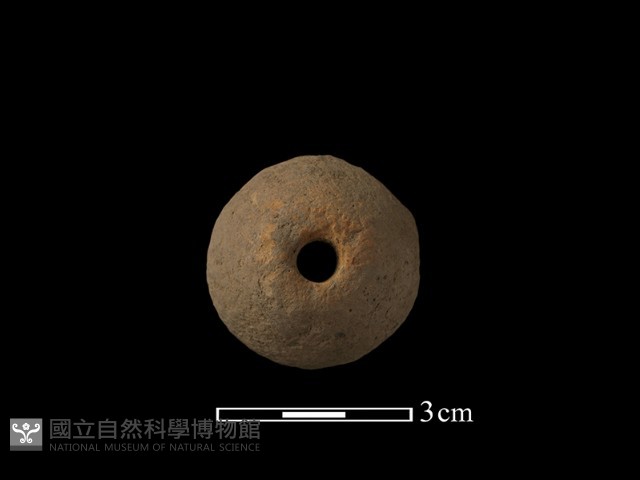 紡輪藏品圖，第2張