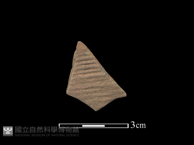 陶片藏品圖，第1張