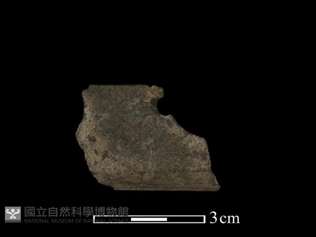 石刀藏品圖，第2張