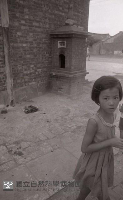 1950至2006年臺灣常民生活藏品圖，第1張