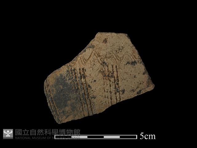 陶片藏品圖，第1張