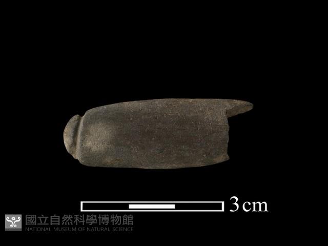 網墜藏品圖，第1張