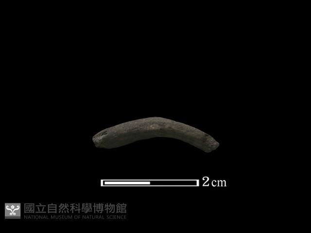 陶環藏品圖，第1張