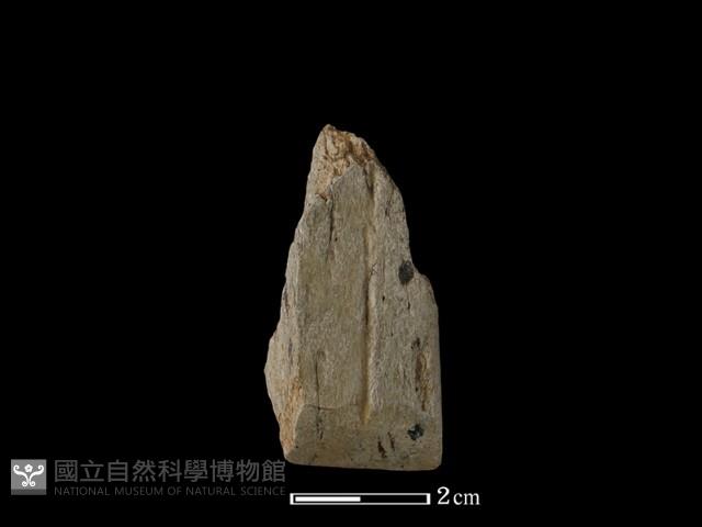 錛鑿形器藏品圖，第2張