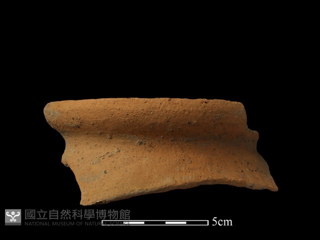 陶罐藏品圖，第2張