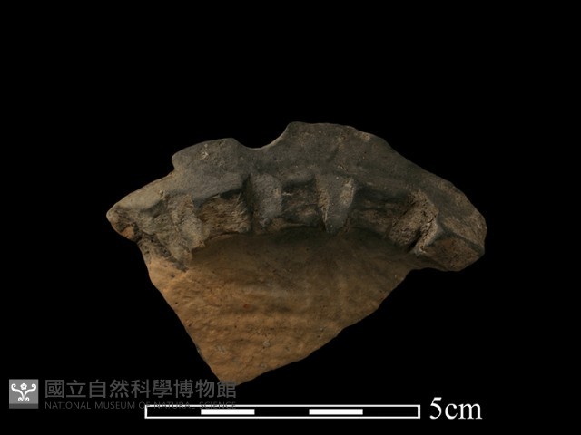陶罐藏品圖，第2張