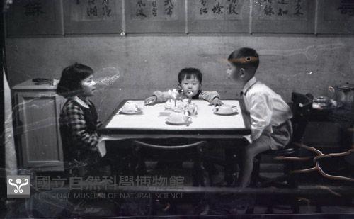 1950至2006年臺灣常民生活藏品圖，第1張